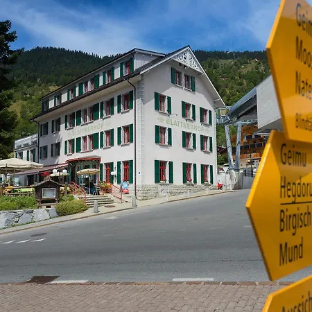 Blattnerhof Отель